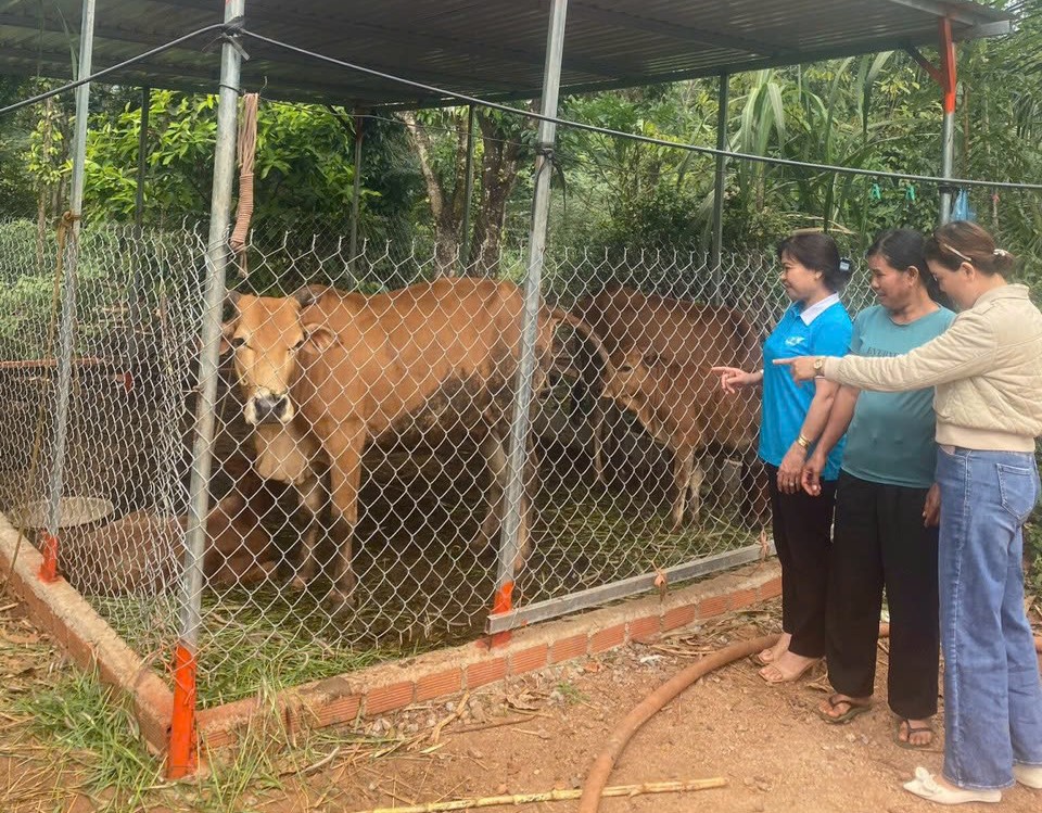 Người tổ trưởng tâm huyết, gương mẫu với hoạt động tín dụng chính sách